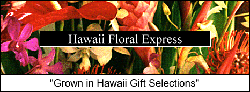 Hawaii Floral Express Your Source for Fresh Hawaiian Flowers