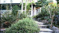 Up the stairs to our two bedroom Hawaiian vacation rental